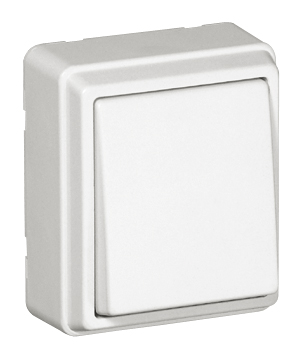 Rocker Push-button Switch