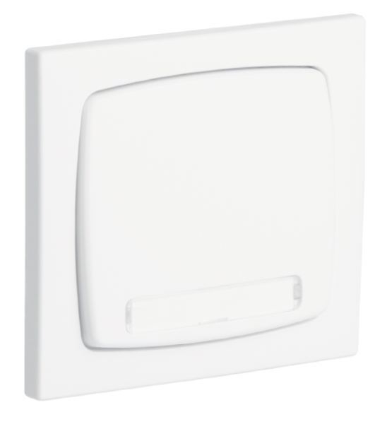 Rocker Push-button Switch with Identification - 250V~