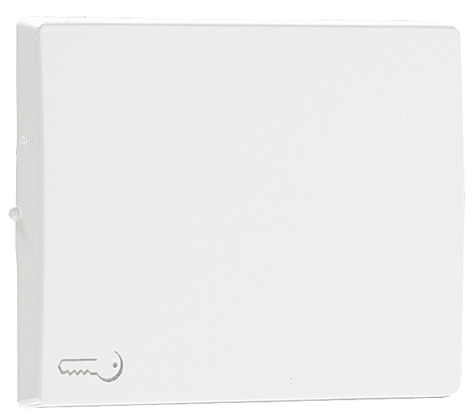 Rocker for Switches with Lock Symbol